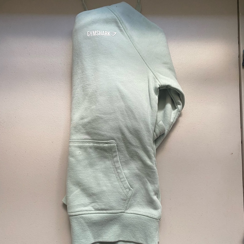 GynShark hooded sweatshirt